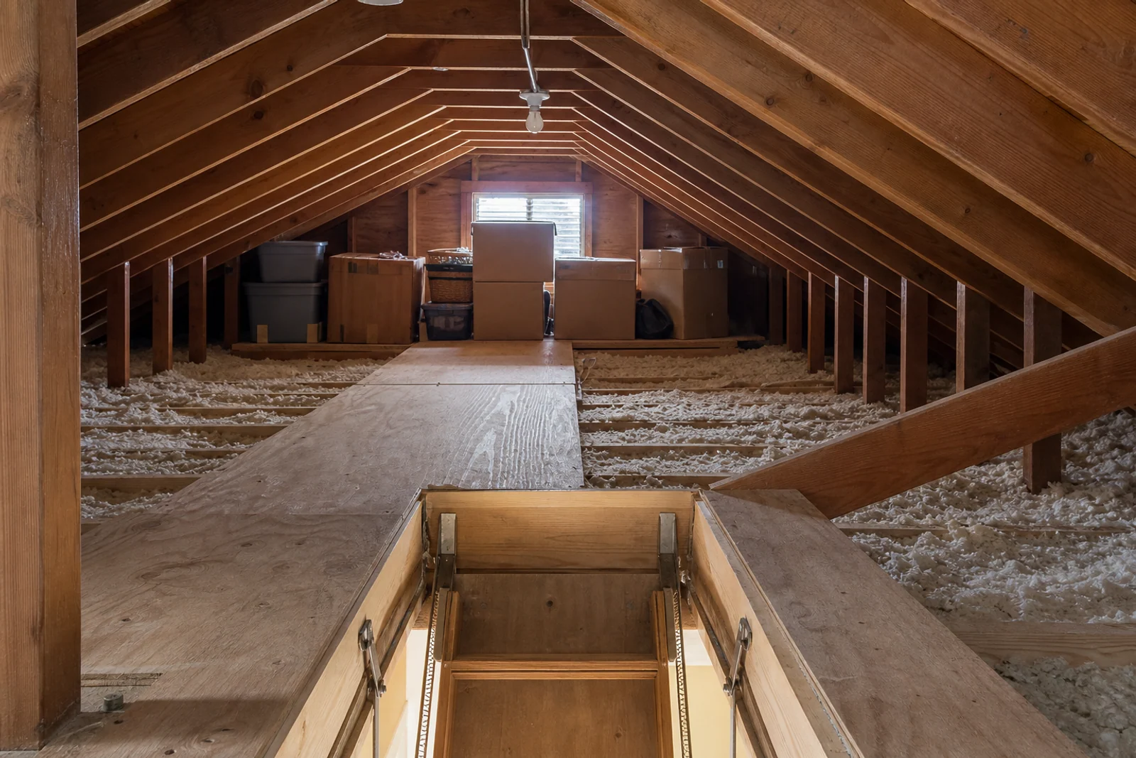 Attic Cleanouts